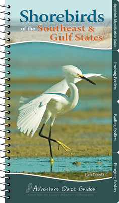 Shorebirds of the Southeast & Gulf States: Your Way to Easily Identify Shorebirds - Tekiela, Stan