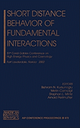 Short Distance Behavior of Fundamental Interactions: 31st Coral Gables Conference on High Engergy Physics and Cosmology, Fort Lauterdale, Florida, 11-14 December 2002