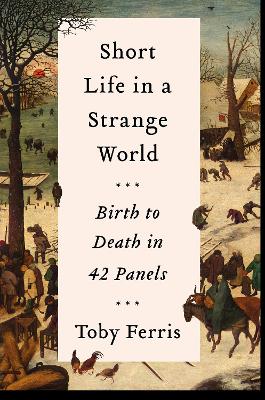 Short Life in a Strange World: Birth to Death in 42 Panels - Ferris, Toby