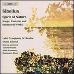 Sibelius: Spirit of Nature - Songs, Cantatas and Orchestral Works