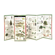 Sibley's Trees of Cities and Towns of the Southeast