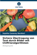 Sichere bertragung von Text durch Bilder mit Chiffrieralgorithmen