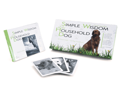 Simple Wisdom of the Household Dog: An Oracle
