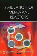 Simulation of Membrane Reactors