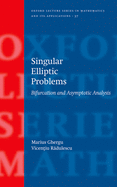 Singular Elliptic Problems: Bifurcation & Asymptotic Analysis