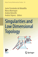 Singularities and Low Dimensional Topology