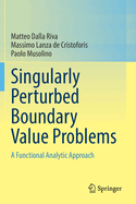Singularly Perturbed Boundary Value Problems: A Functional Analytic Approach
