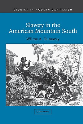 Slavery in the American Mountain South - Dunaway, Wilma A.