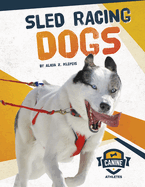 Sled Racing Dogs