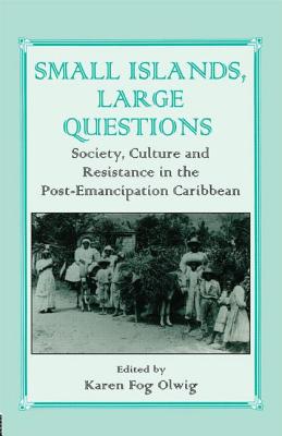 Small Islands, Large Questions: Society, Culture and Resistance in the Post-Emancipation Caribbean - Olwig, Karen Fog (Editor)