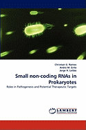 Small Non-coding RNAs in Prokaryotes