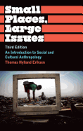 Small Places, Large Issues: An Introduction to Social and Cultural Anthropology