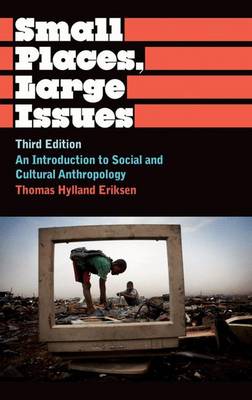 Small Places, Large Issues: An Introduction to Social and Cultural Anthropology - Eriksen, Thomas Hylland
