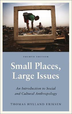 Small Places, Large Issues: An Introduction to Social and Cultural Anthropology - Eriksen, Thomas Hylland