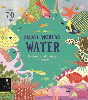 Small Worlds: Water - Hawthorne, Lara (Illustrator), and Murray, Lily