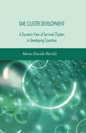 Sme Cluster Development: A Dynamic View of Survival Clusters in Developing Countries