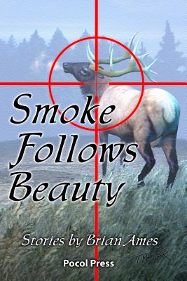 Smoke Follows Beauty - Ames, Brian