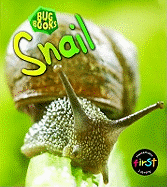 Snail