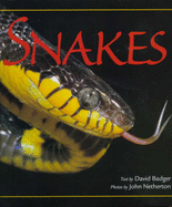 Snakes - Badger, David, and Netherton, John (Photographer)
