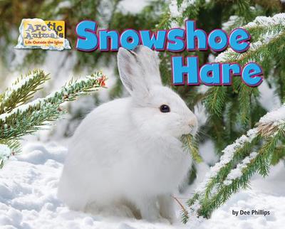 Snowshoe Hare - Phillips, Dee