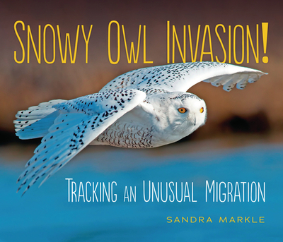 Snowy Owl Invasion!: Tracking an Unusual Migration - Markle, Sandra