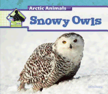 Snowy Owls