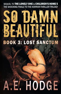 So Damn Beautiful: Lost Sanctum - Hodge, A E