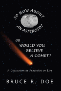 So How about an Asteroid? or Would You Believe a Comet?: A Collection of Fragments of Life