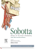 Sobotta Atlas of Human Anatomy, Vol. 3, 15th ed., English/Latin: Head, Neck and Neuroanatomy - with online access to e-sobotta.com - Paulsen, Friedrich, and Waschke, Jens, and Klonisch, Thomas (Translated by)