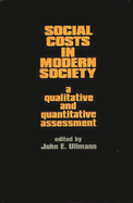 Social Costs in Modern Society: A Qualitative and Quantitative Assessment