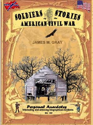 Soldiers Stories of the American Civil War - Gray, James M