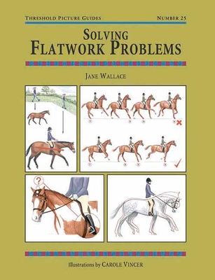 Solving Flatwork Problems - Wallace, Jane