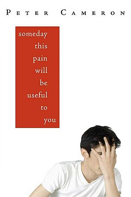 Someday This Pain Will Be Useful to You - Cameron, Peter