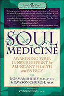 Soul Medicine: Awakening Your Inner Blueprint for Abundant Health and Energy