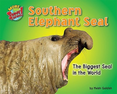 Southern Elephant Seal: The Biggest Seal in the World - Goldish, Meish