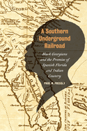 Southern Underground Railroad: Black Georgians and the Promise of Spanish Florida and Indian Country