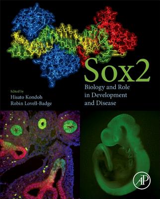 Sox2: Biology and Role in Development and Disease - Kondoh, Hisato (Editor), and Lovell-Badge, Robin (Editor)