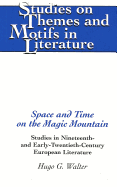 Space and Time on the Magic Mountain: Studies in Nineteenth- And Early-Twentieth-Century European Literature