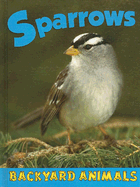 Sparrows - Webster, Christine