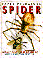 Spider and Fly