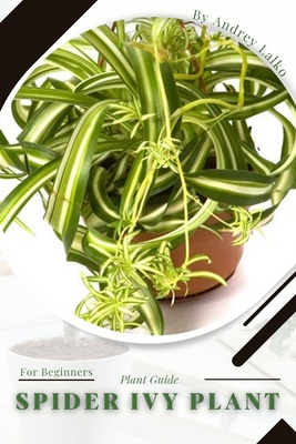 Spider Ivy Plant: Plant Guide - Lalko, Andrey