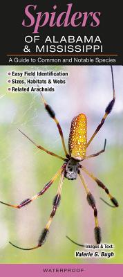 Spiders of Alabama & Mississippi: A Guide to Common & Notable Species - Bugh, Valerie G