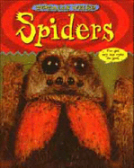 Spiders - Morley, Christine, and McCann, Jackie (Volume editor)