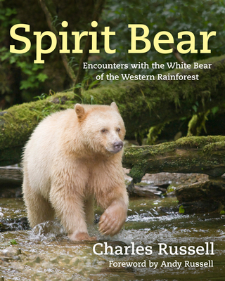 Spirit Bear: Encounters with the White Bear of the Western Rainforest - Russell, Charles