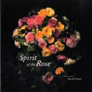 Spirit of the Rose: A Love Story