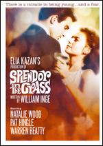 Splendor in the Grass - Elia Kazan