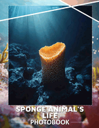 Sponge Animal's Life Photo Book: Explore The Vibrant Underwater World With 40 Stunning Images Of Unique Sponge Creatures