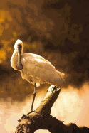 Spoonbill Notebook: 150 Lined Pages, Softcover, 6 X 9