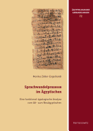 Sprachwandelprozesse Im Agyptischen: Eine Funktional-Typologische Analyse Vom Alt- Zum Neuagyptischen