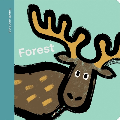 Spring Street Touch and Feel: Forest - Boxer Books, and Cole, Lo (Illustrator)